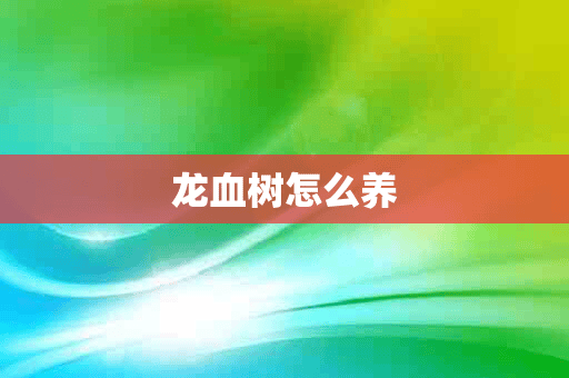 龙血树怎么养