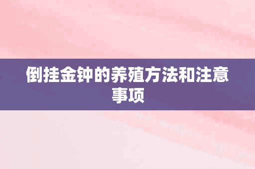 倒挂金钟的养殖方法和注意事项