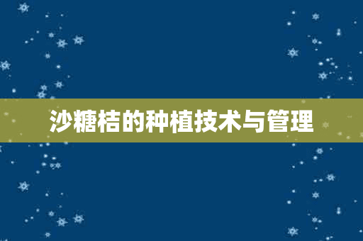 沙糖桔的种植技术与管理