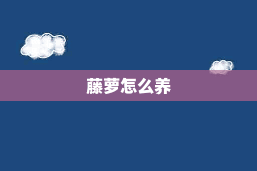 藤萝怎么养