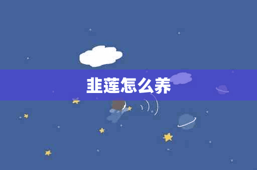 韭莲怎么养