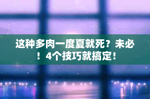 这种多肉一度夏就死？未必！4个技巧就搞定！