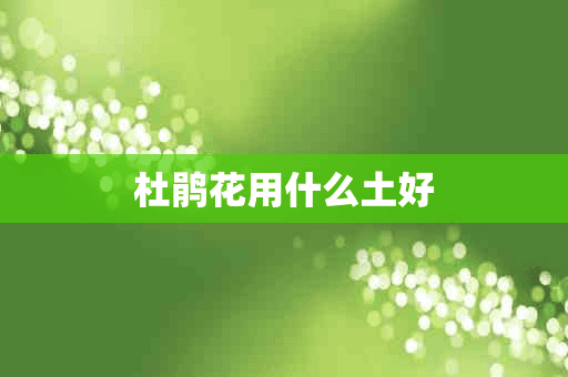 杜鹃花用什么土好