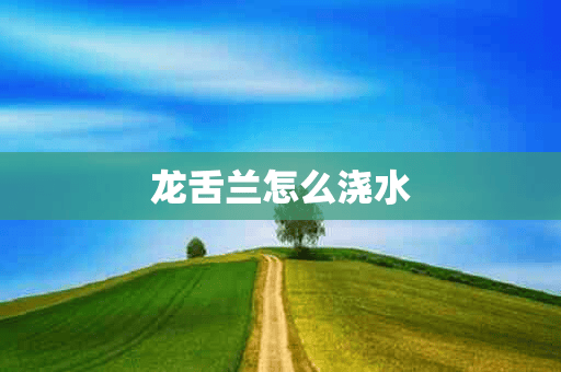 龙舌兰怎么浇水