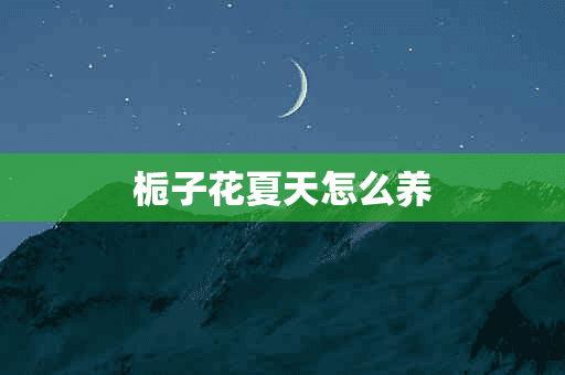 栀子花夏天怎么养