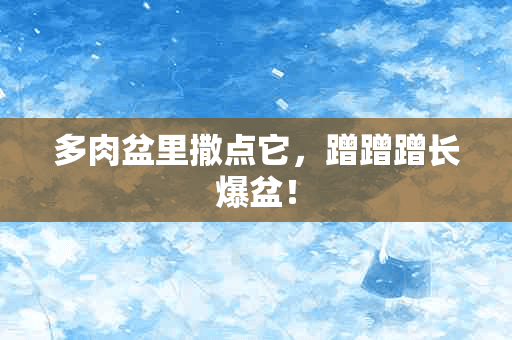 多肉盆里撒点它，蹭蹭蹭长爆盆！