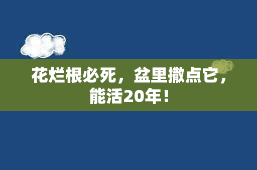 花烂根必死，盆里撒点它，能活20年！