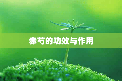 赤芍的功效与作用