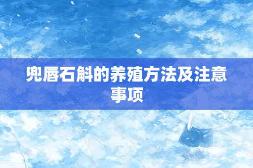 兜唇石斛的养殖方法及注意事项