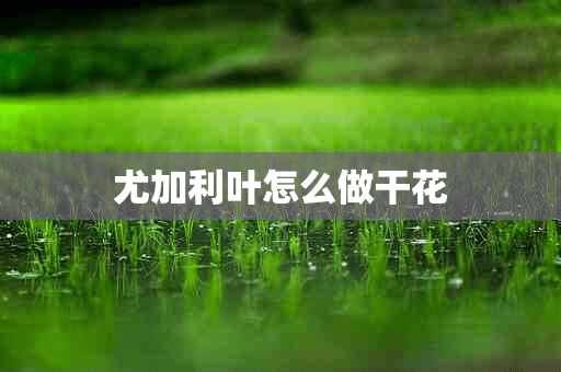 尤加利叶怎么做干花