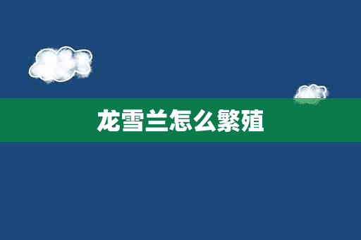 龙雪兰怎么繁殖