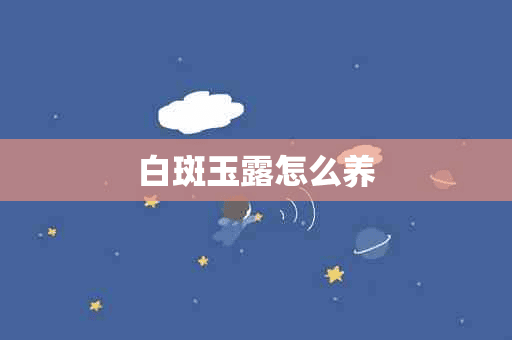 白斑玉露怎么养