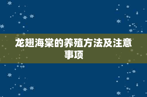 龙翅海棠的养殖方法及注意事项