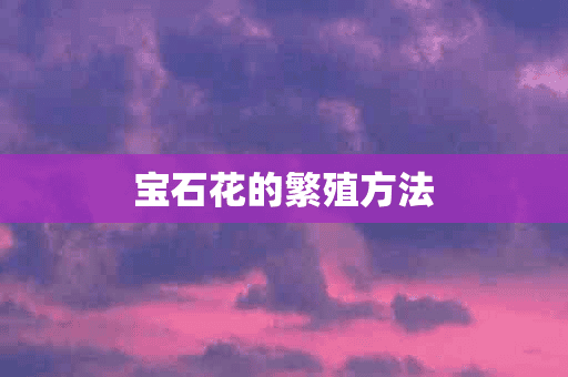 宝石花的繁殖方法