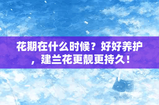 花期在什么时候？好好养护，建兰花更靓更持久！