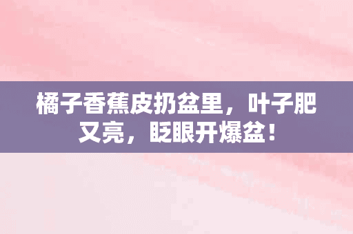 橘子香蕉皮扔盆里，叶子肥又亮，眨眼开爆盆！