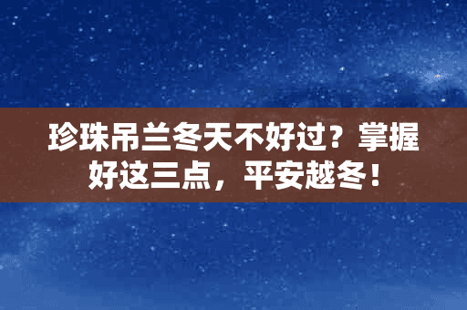 珍珠吊兰冬天不好过？掌握好这三点，平安越冬！