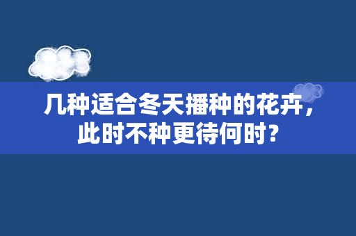 几种适合冬天播种的花卉，此时不种更待何时？