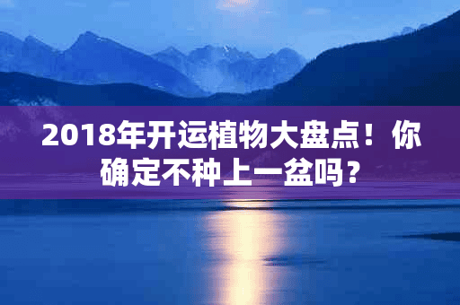 2018年开运植物大盘点！你确定不种上一盆吗？