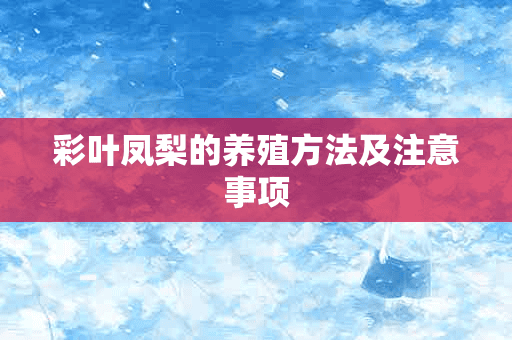 彩叶凤梨的养殖方法及注意事项