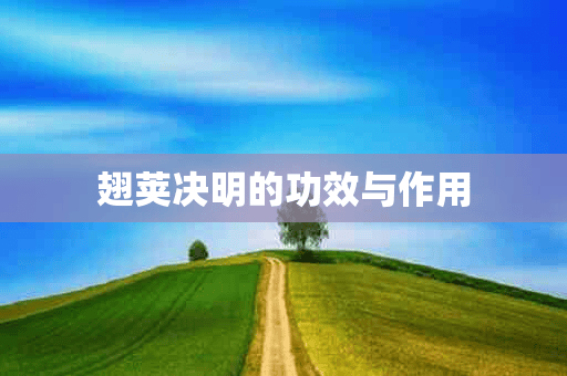 翅荚决明的功效与作用