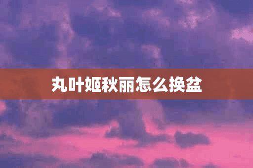 丸叶姬秋丽怎么换盆