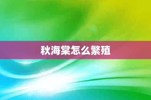 秋海棠怎么繁殖