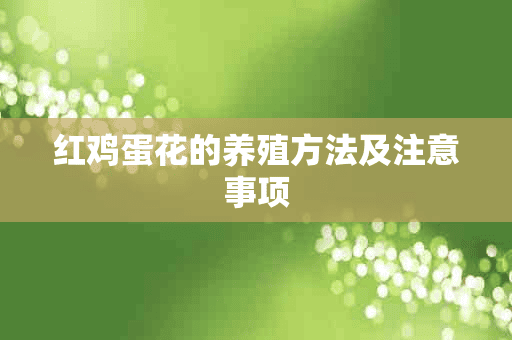 红鸡蛋花的养殖方法及注意事项