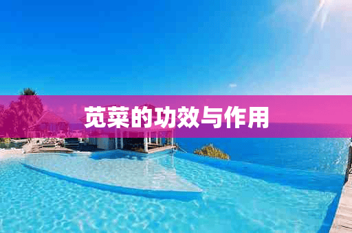 苋菜的功效与作用