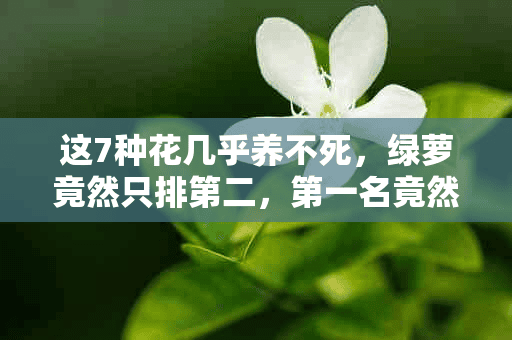 这7种花几乎养不死，绿萝竟然只排第二，第一名竟然是……