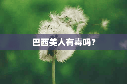 巴西美人有毒吗？