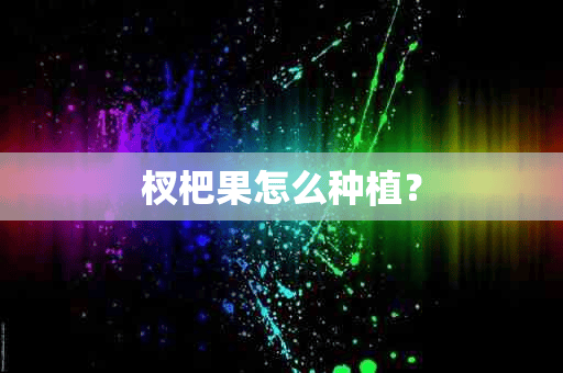 杈杷果怎么种植？