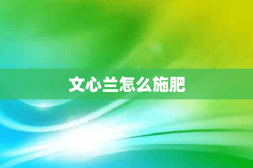 文心兰怎么施肥