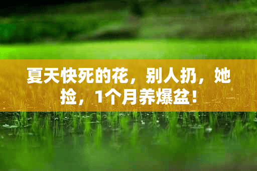 夏天快死的花，别人扔，她捡，1个月养爆盆！