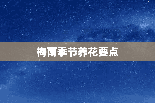 梅雨季节养花要点