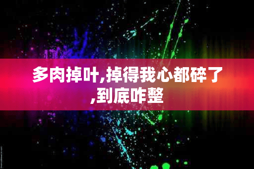 多肉掉叶,掉得我心都碎了,到底咋整