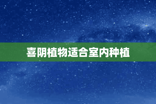 喜阴植物适合室内种植