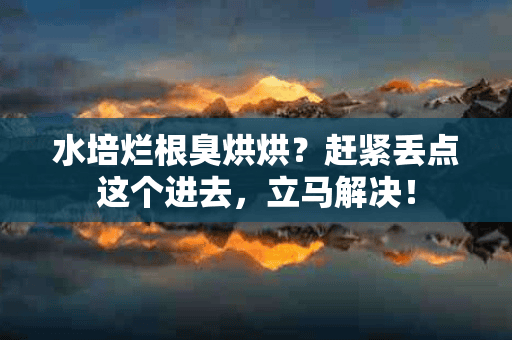 水培烂根臭烘烘？赶紧丢点这个进去，立马解决！