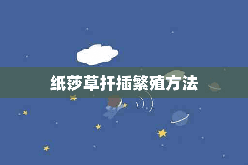 纸莎草扦插繁殖方法