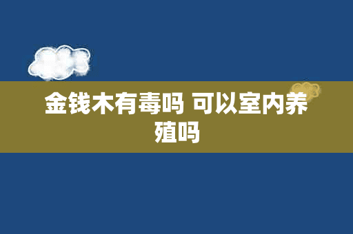 金钱木有毒吗 可以室内养殖吗