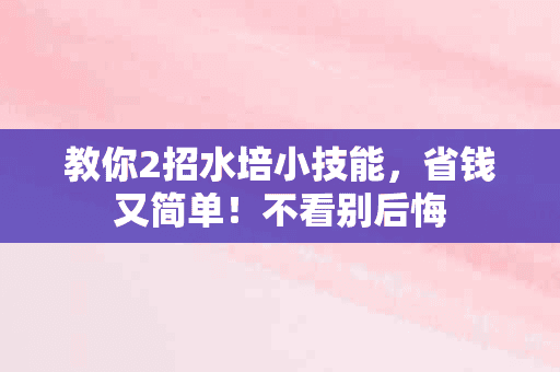 教你2招水培小技能，省钱又简单！不看别后悔