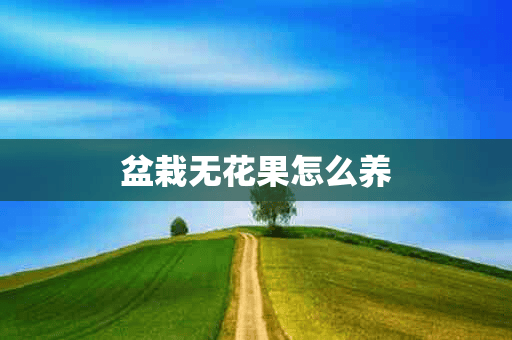 盆栽无花果怎么养