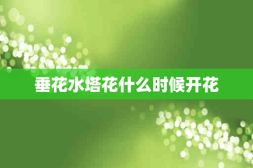 垂花水塔花什么时候开花