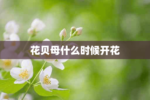 花贝母什么时候开花