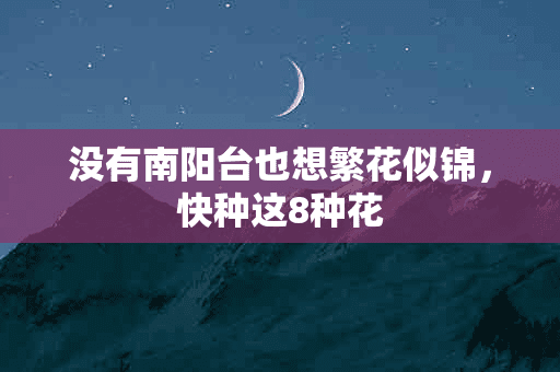 没有南阳台也想繁花似锦，快种这8种花