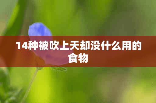 14种被吹上天却没什么用的食物