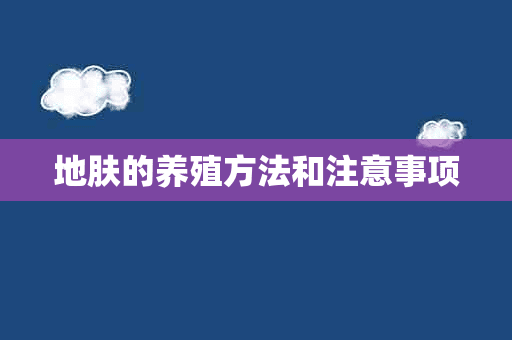 地肤的养殖方法和注意事项