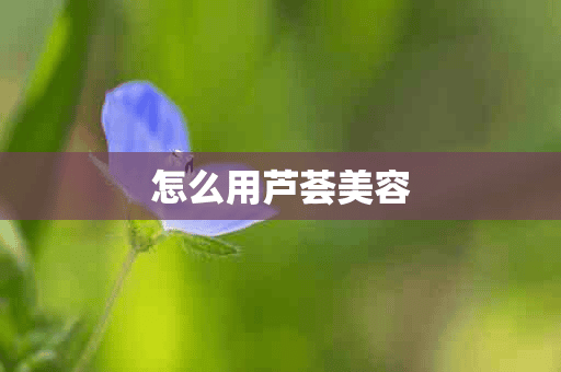 怎么用芦荟美容