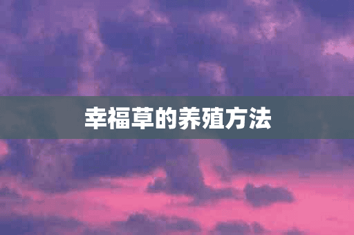 幸福草的养殖方法