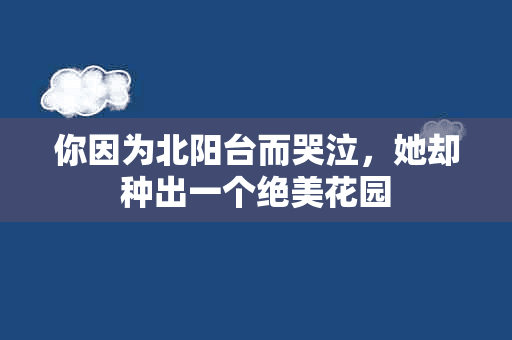 你因为北阳台而哭泣，她却种出一个绝美花园